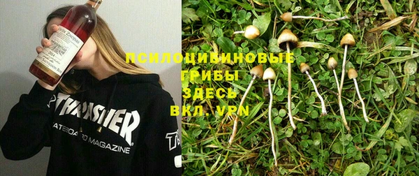 МДПВ Абинск