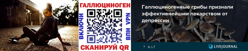 Псилоцибиновые грибы Psilocybe  kraken зеркало  Горячеводский 